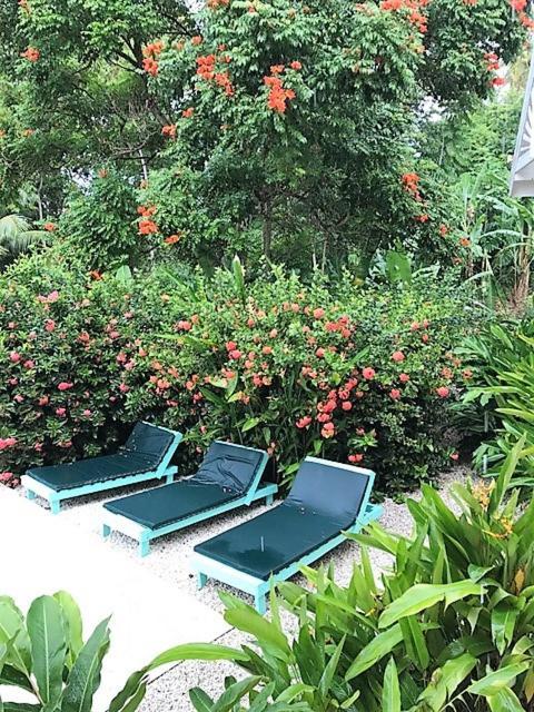 Tobago Hibiscus Golf Villas & Appartments Mount Irvine Zewnętrze zdjęcie